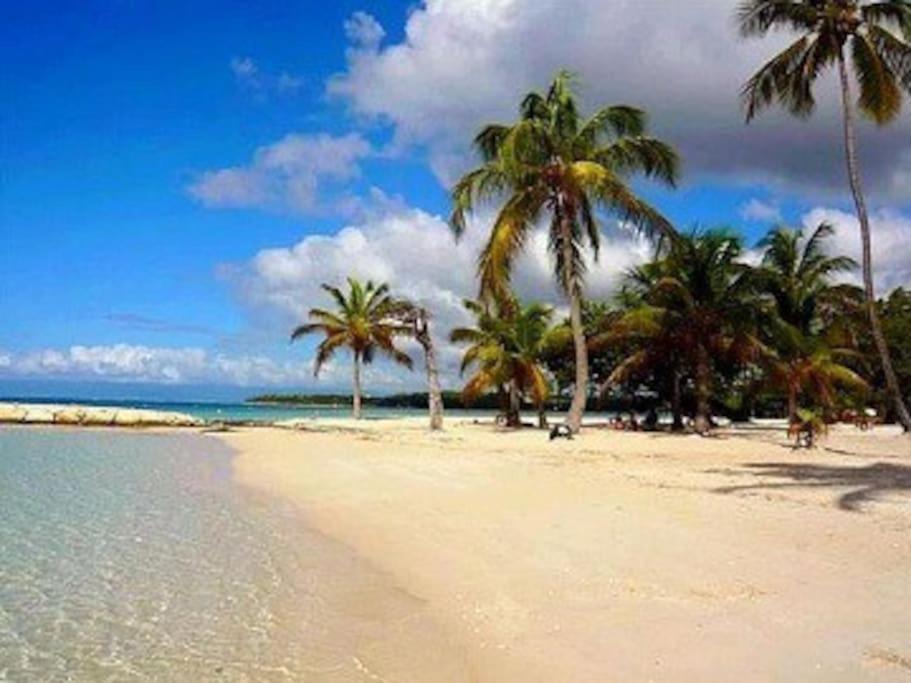 La Playa - L'appartement Cozy - 2 A 5 Personnes